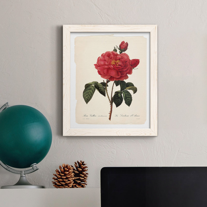 Red Botanical III - cadre photo, impression sur toile, Toile à cadre blanc, H 37,5 po x l 27,5 po x P 1,5 po