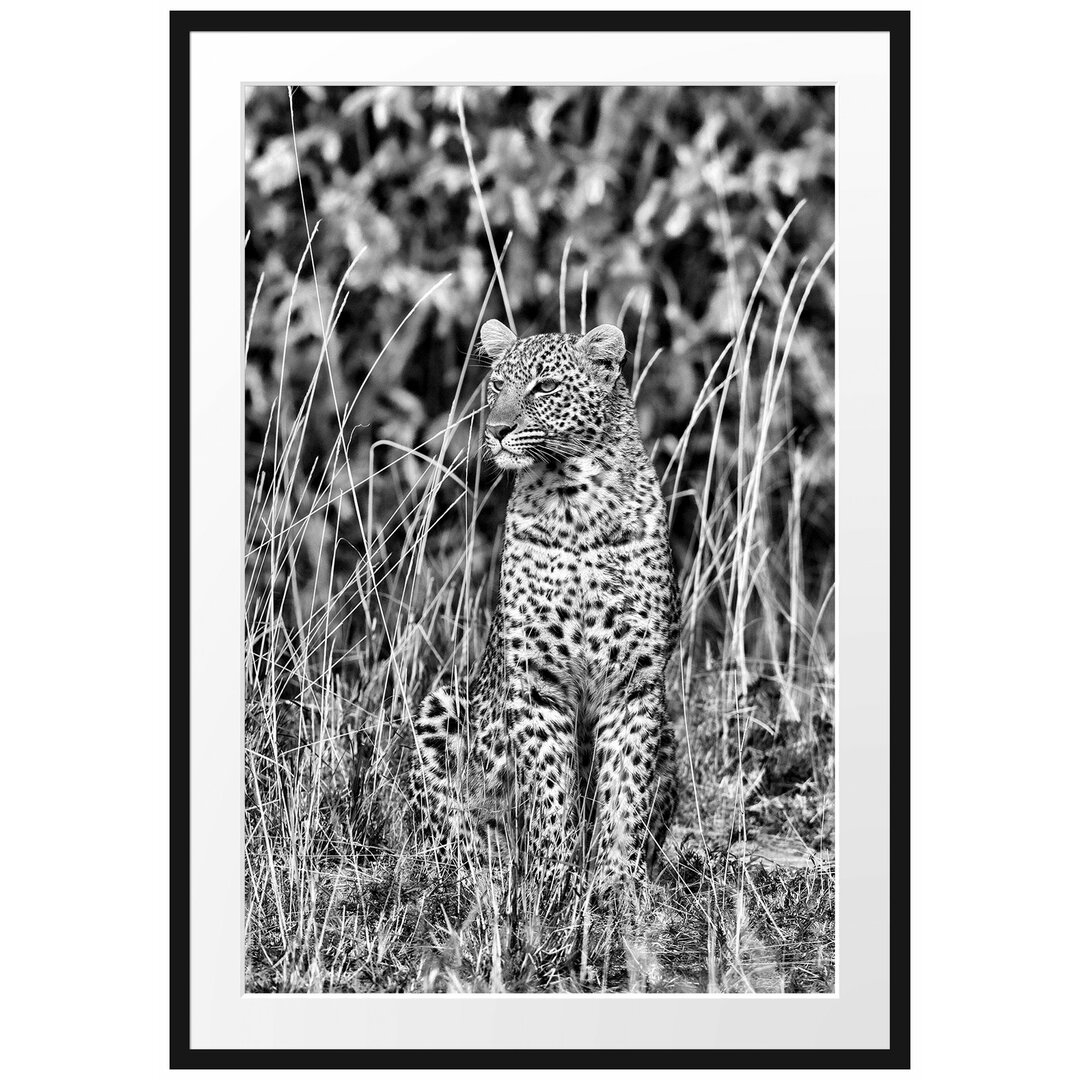 Anmutiger Leopard im hohen Gras Gerahmter Fotokunstdruck