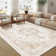  Elegant Modern Machine Woven Area Rug in Beige