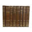 Marron Juney / cuir rebond brun clair