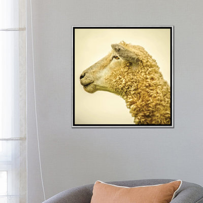 " Curly II " Print