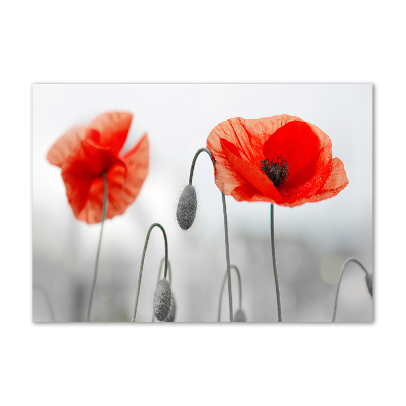 Maki - Wrapped Canvas Print