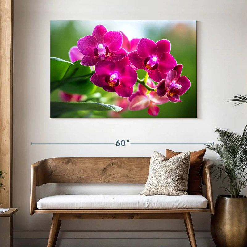 Orchidée Harnek