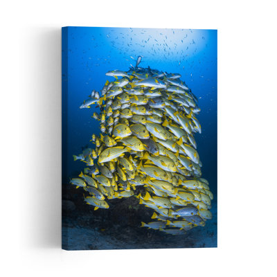 School Of Yellow Fish Fish Architecture Tropical Wall Art Print 1 Piece Wrapped Canvas Wall Art