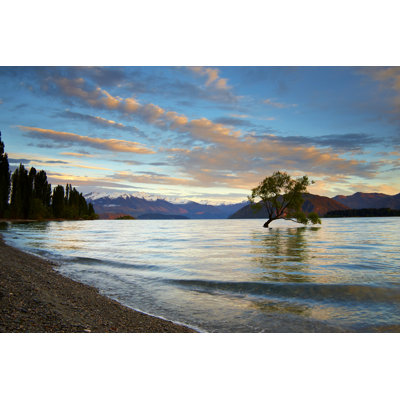 Lake Wanaka at Dawn by Simonbradfield