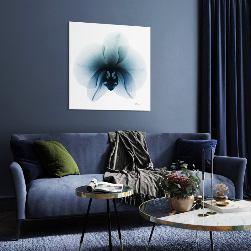«Glacial Orchid» par Albert Koetsier - reproduction de photo non encadrée sur verre