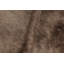 Modern Classics One-of-a-Kind 6'6x8'1 Area Rug