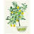 " Lemon Tree II " by Stellar Design Studio-395649985
