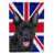 Australian Kelpie