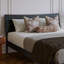 Phoenix Wood Platform Bed with Trundle-223210848-223210855