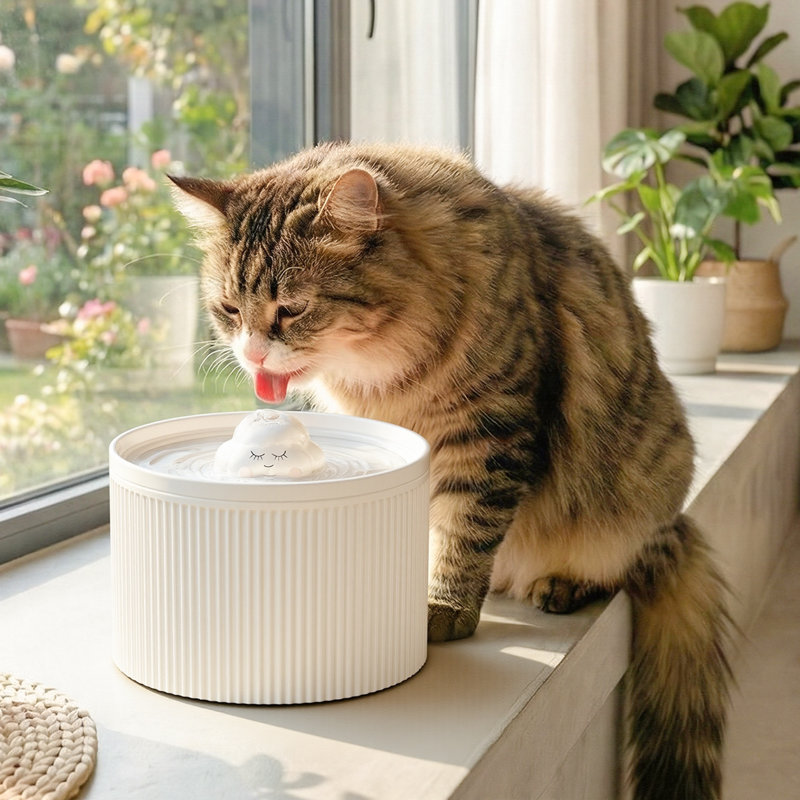 Nuage pour chat, fontaine d'eau pour chat, distributeur d'eau potable pour chats d'intérieur, facile à nettoyer