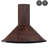 30-in 343-CFM Convertible Vine Embossed Copper Wall-Mounted Range Hood with Carbon Filters