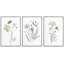 "Minimal Botanical" Wildflowers-91875098-91875097