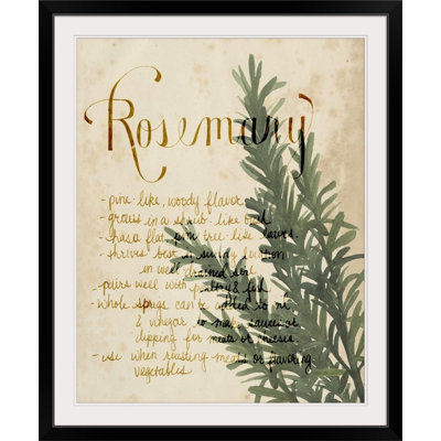 Herb Study " Herb Study IV " by Grace Popp