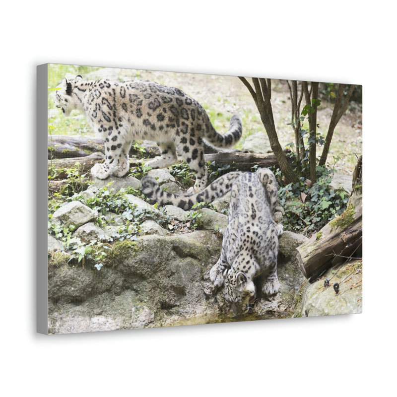 No Frame Print on Canvas, 30.48cm H x 45.72cm W