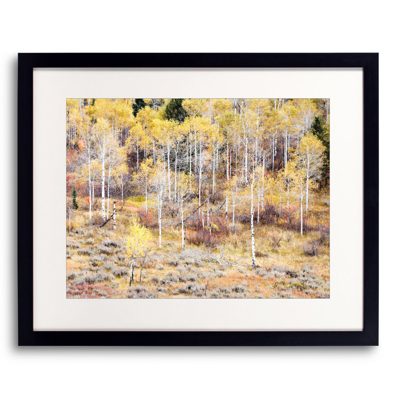 Swan Valley Autumn Portrait #5 Print by Bruce Heinemann, Black Framed Paper, White, 16" H x 20" W