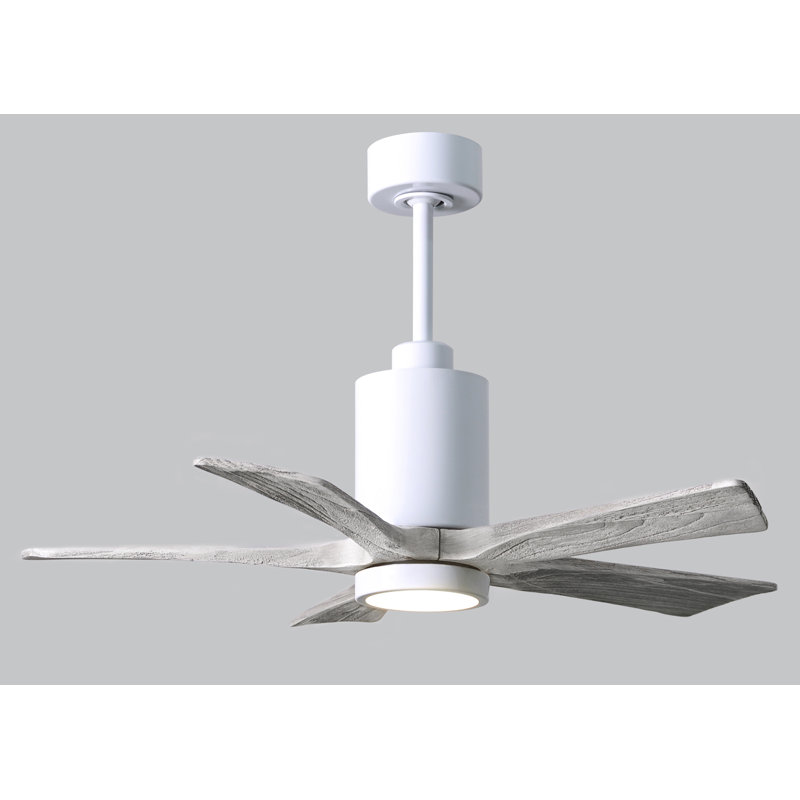 Ventilateur de plafond standard à DEL à 42 pales de 42 po avec télécommande et ensemble d'éclairage inclus Patricia