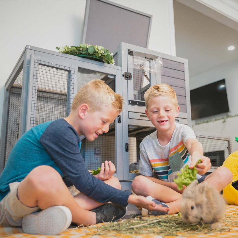 Weather Resistant Hutch with Ramp, Grey