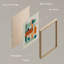 Colorful Mid-Century Geometric - Ensemble de 4 reproductions de cadres photo simples-97782157-97782158