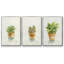 Succulent I, encadré sur toile, 3 pièces-163068306-163068304