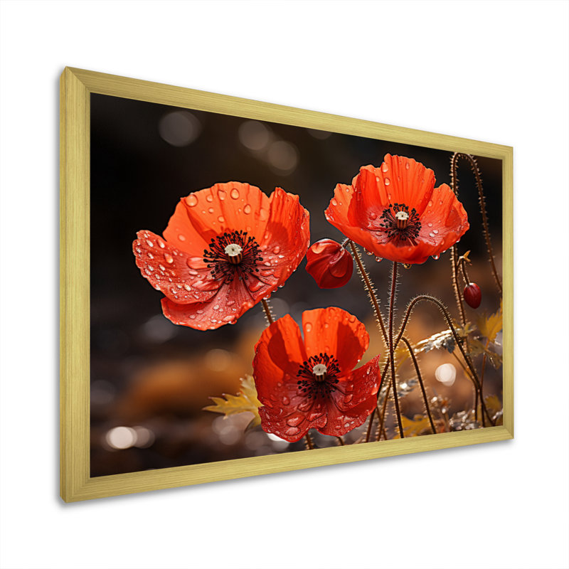 Champ de coquelicots rouges II - impression, H 34 po x l 44 po x P 1,5 po, Encadrement doré