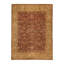 Wool Oriental Area Rug in Gold