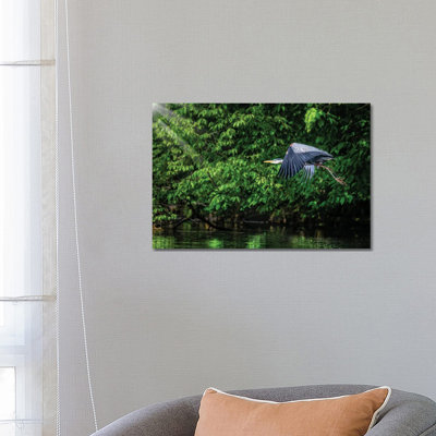 Big Blue In Green by David Gardiner - Wrapped Canvas Print