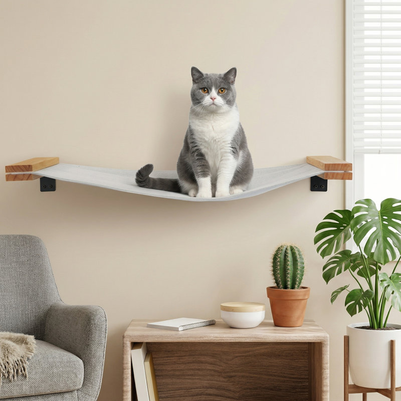 Grand tunnel pour chat à 8 formes avec coussins moelleux, cachette pliable avec boules moelleuses, gris, pour chatons, lapins, furets