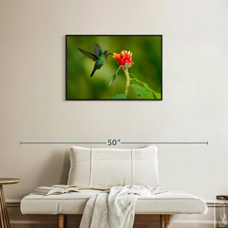Fleur et colibri vert, Cadre flottant noir, 31 po x 21 po