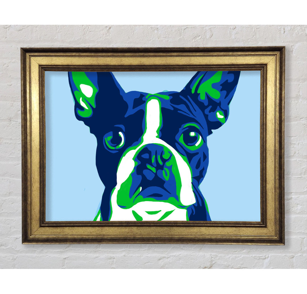 Die Französische Bulldogge Pop Art - Einzelne Bilderrahmen Kunstdrucke