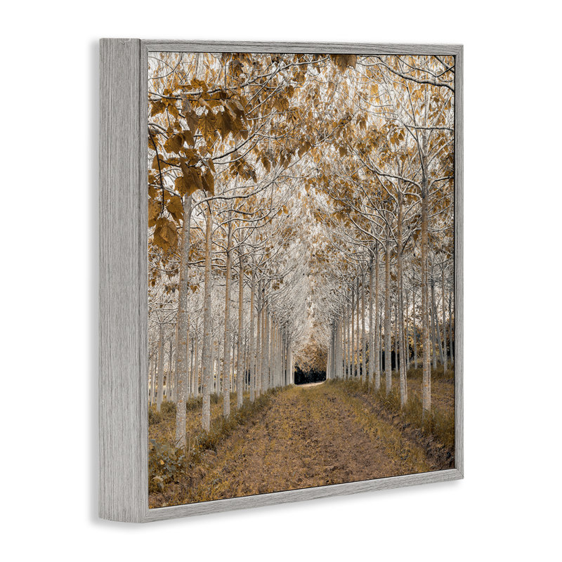 Giclée encadrée de bouleau blanc, or par Assaf Frank, Estampe numérique Farmhouse, H 12 po x l 12 po
