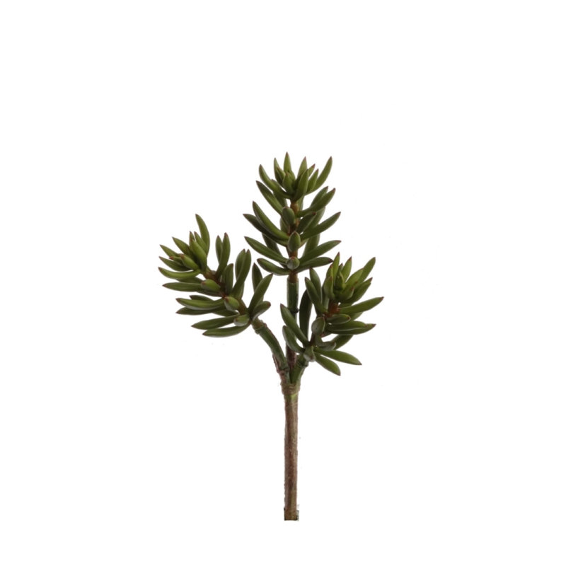 Plante grasse artificielle de 13 po Steele