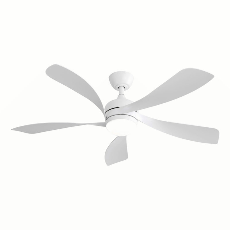 Refton Whisper Bloom Ceiling  Fan with LED Lights, White Incorrect, White Incorrect