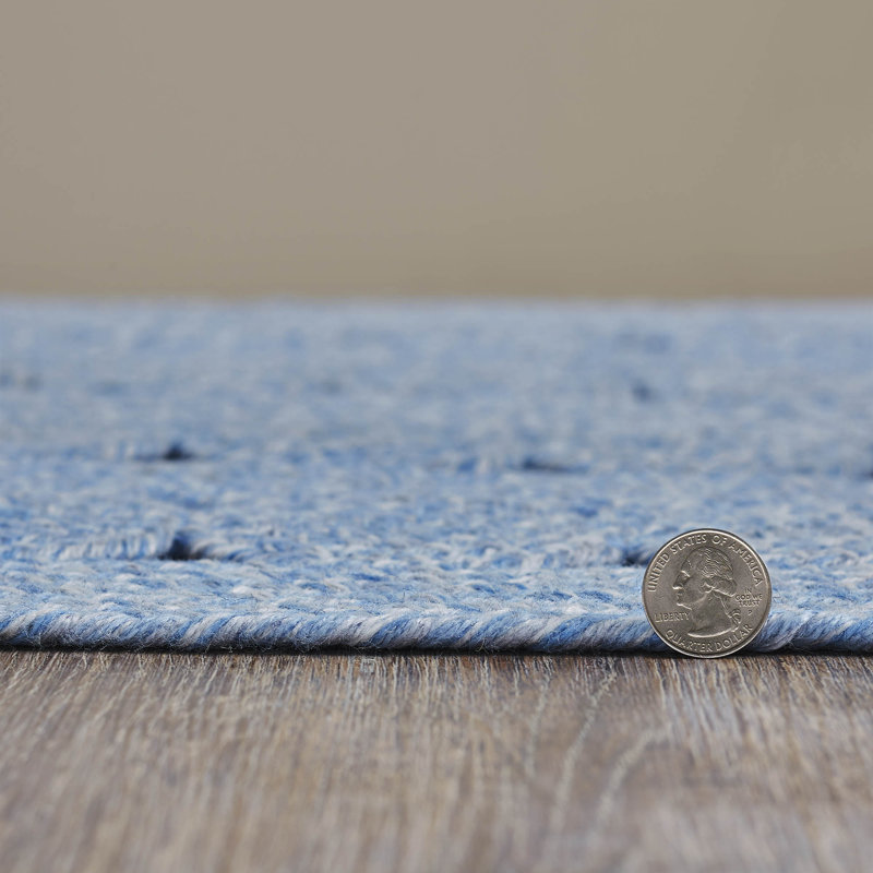 Lyta Hand Braided Indoor / Outdoor Rug, Oval 3' x 5'