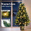 Christmas Tree with Lights