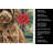 Spanish Water Dog Christmas PoinsettIas Kitchen Towel-2080583715
