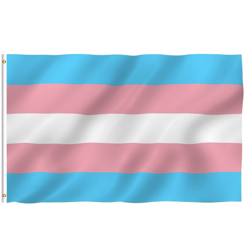 Drapeau de maison en polyester 36 x 60 po Transgender Pride Flag