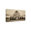 « Deep Sleep » par PHBurchett, reproduction de photo sur toile tendue-1439635561