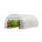 Walk-in Tunnel Greenhouse Galvanized Frame PE Cover-102299555-102299556