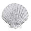 Seaside Platter-755469597