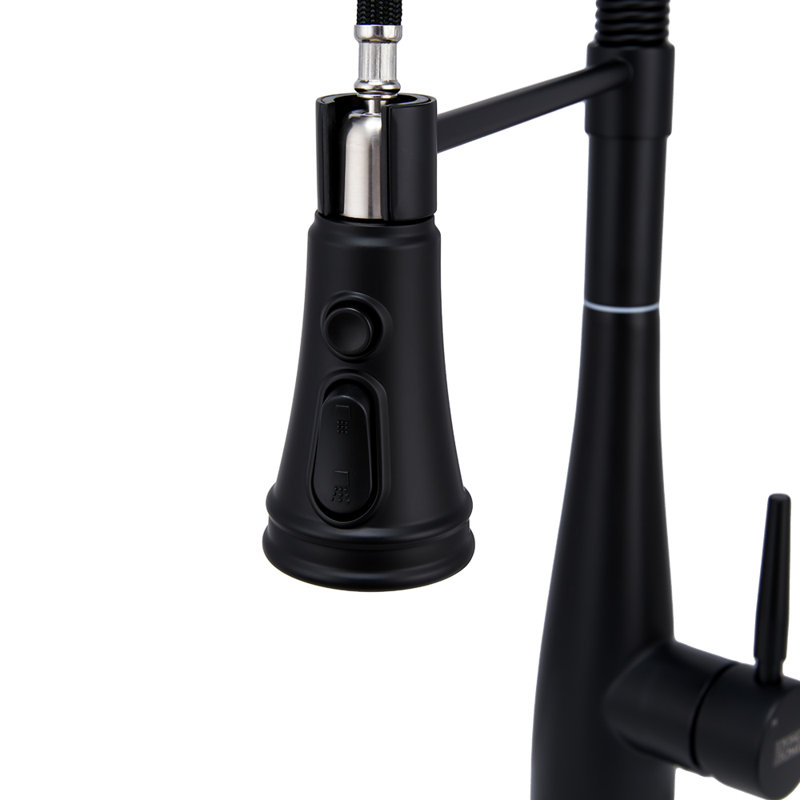 Belfry Kitchen Carmorn Pull Out Kitchen Faucet, Black