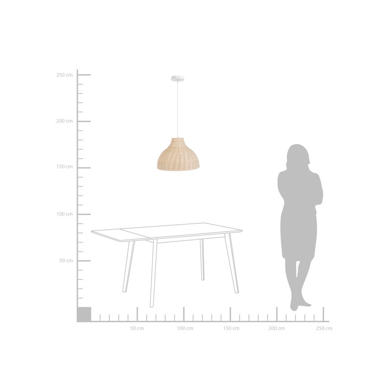 Teri 1 - Light Dome Pendant
