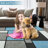 Checked Machine Washable Foldable Printed Rug - Modern Patchwork Design, Non-Slip Mat for Living Room Bedroom Living Room-1433592460