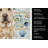 Shar Pei Coastal Sea Glass Kitchen Towel-871464075