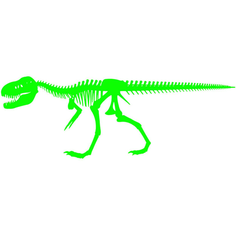 Adhésif décoratif squelette de dinosaure Alvie, H 11 po x l 30 po x P 0,01 po, Vert lime