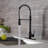 PROOX Pull Down Kitchen Faucet-49431331-117320601