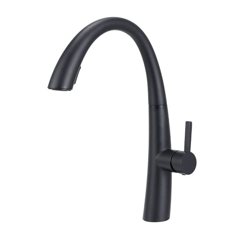 Belfry Kitchen Pull Out Kitchen Faucet, Black