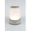 Reina LED Table Lamp-49384267