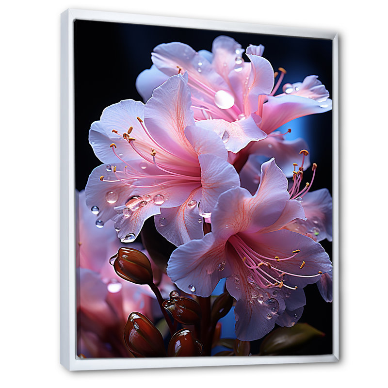 Fleurs de rhododendron transparentes - reproductions d'art mural rhododendron, Cadre flottant blanc, H 32 po x l 16 po