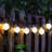 Outdoor 60 - Bulb 240'' Solar Powered LED Wide Angle LED String Light
